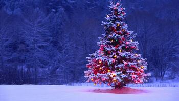 Juletre i snedrakt med fargede lys